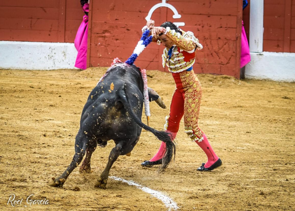 Útiles Lidia Taurinos Innovados TauroInnova - Banderillas de punzón de lidia a pie