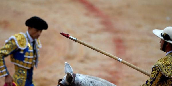 picador- artículo útiles - abc